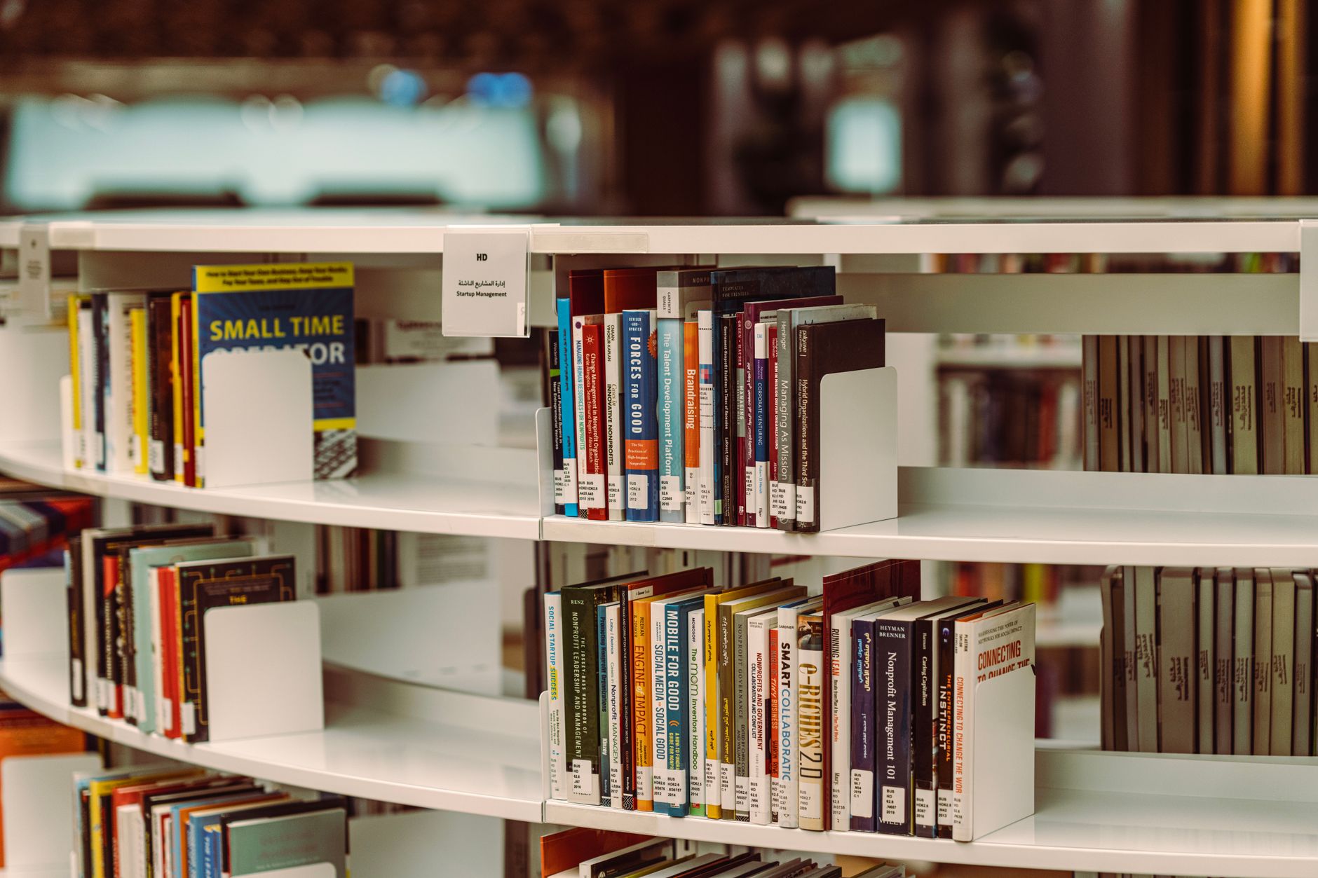 Curved bookshelves filled with books, highlighting a library's modern interior in Dubai.