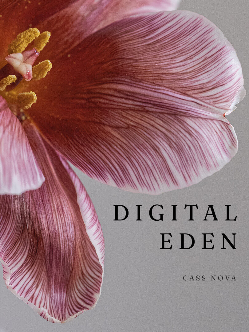 bookstore-product-06